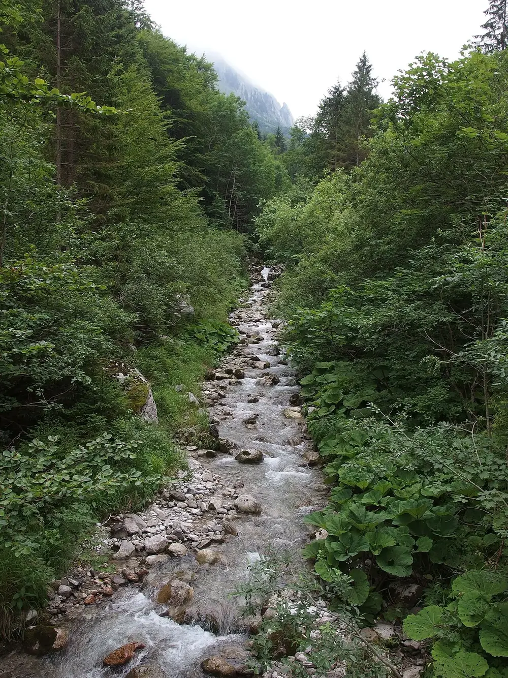 A small temple on the rock, without the crowds — Seseh, Where to ride from Cemagi