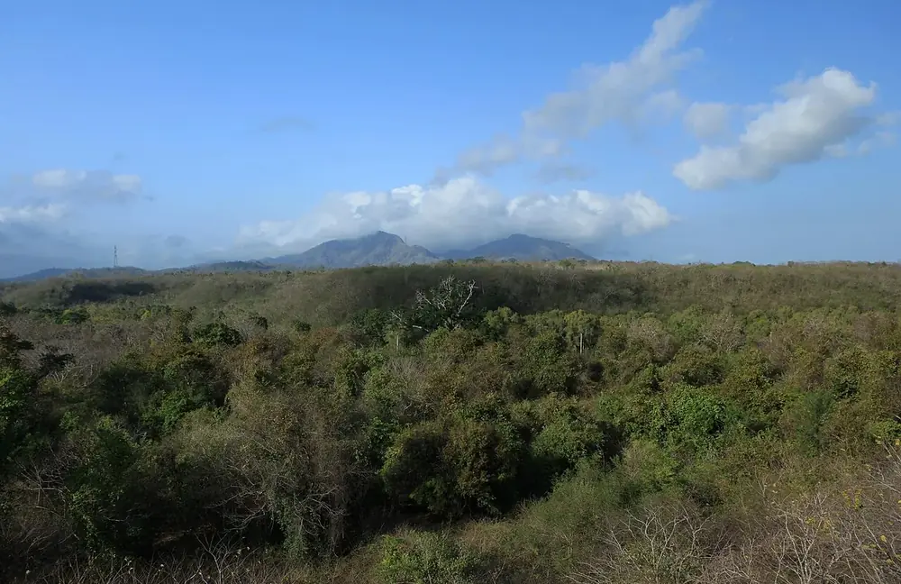 Via Gilimanuk — watch for deer by the roadside — Parc national Bali Barat, Where to ride from Medewi