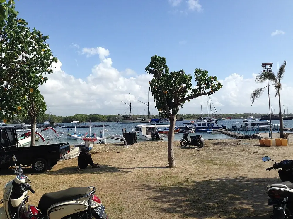 See the turtles early, before the heat — Île de Serangan, Where to ride from Renon