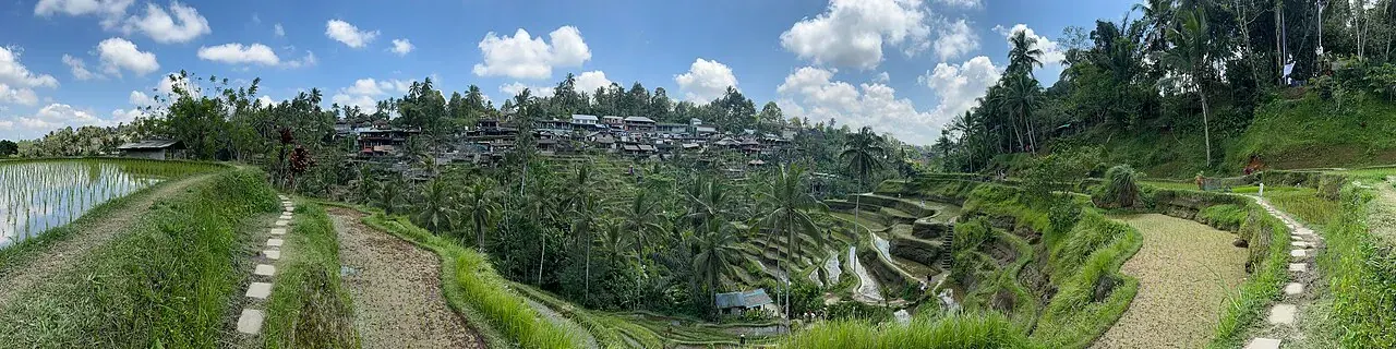 Tegallalang rice terraces, 20 minutes from Ubud by scooter
